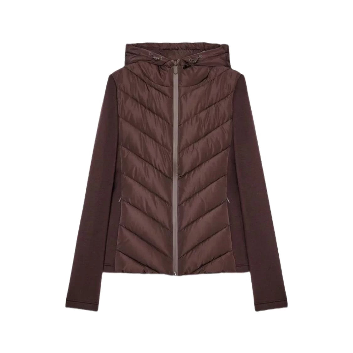 Viral Jacket