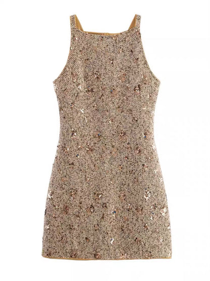 Shiny Dress